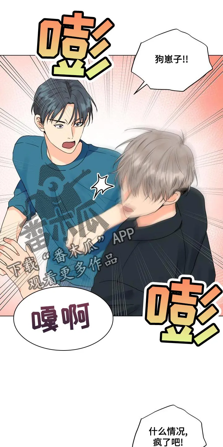 掌中玫瑰漫画漫画,第77章：负重前行16图