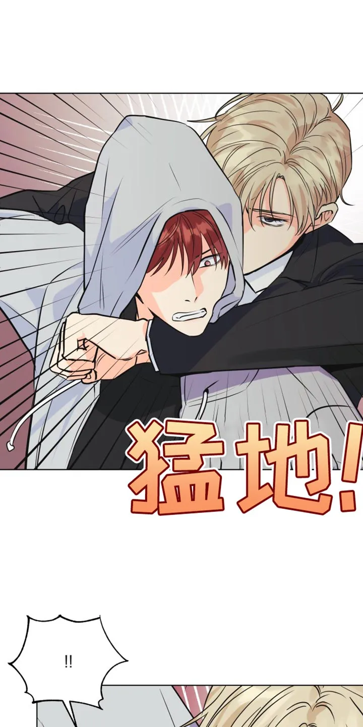 掌中玫瑰全文免费阅读全文漫画,第138章：【第二季】不要妨碍我14图