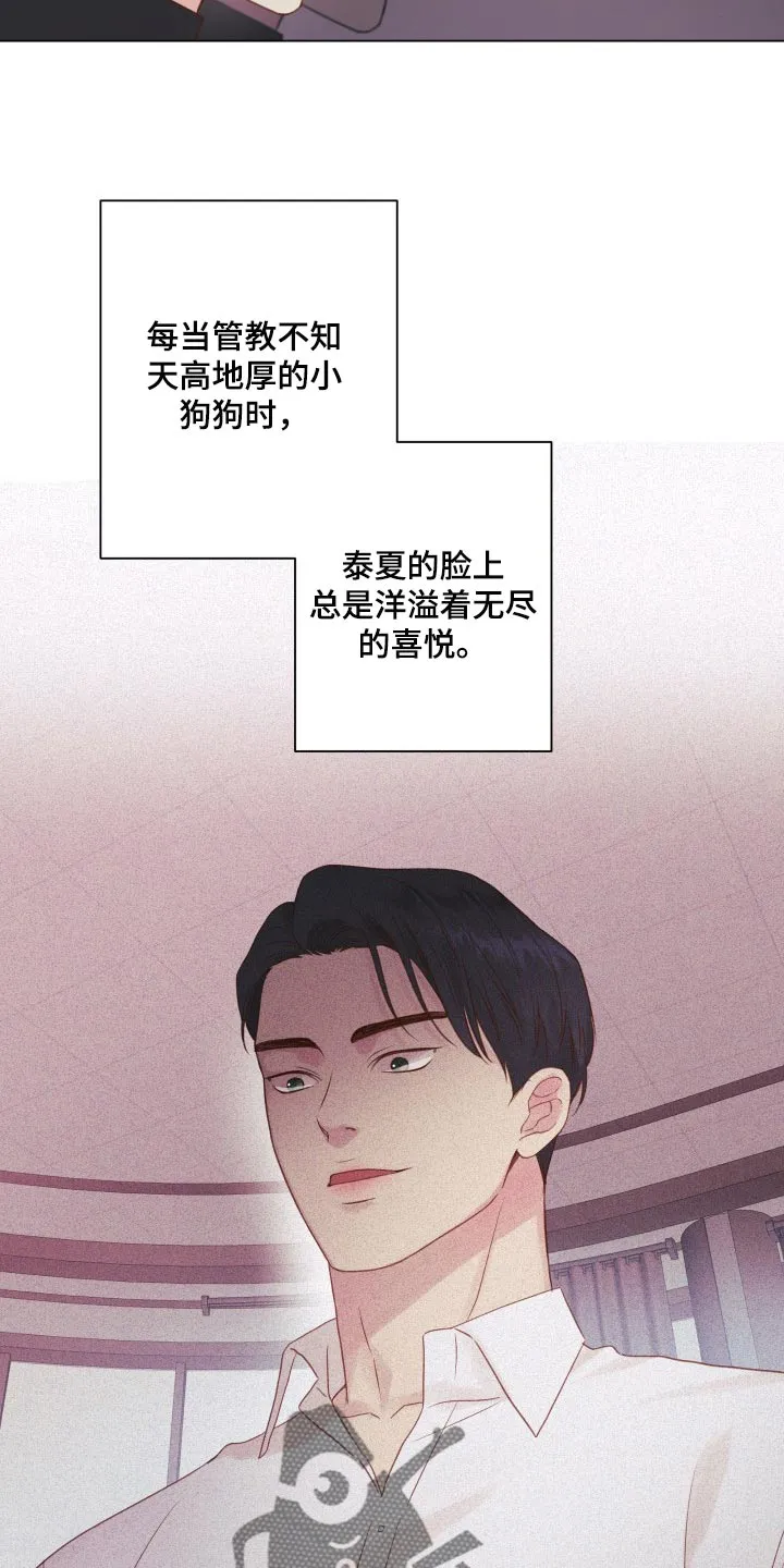 掌中玫瑰漫画漫画,第20章：碍眼19图