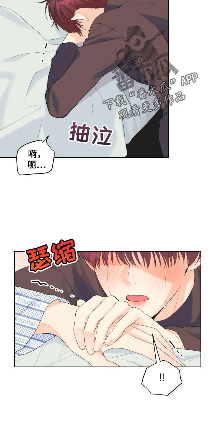掌中玫瑰漫画漫画,第124章：【第二季】车祸20图