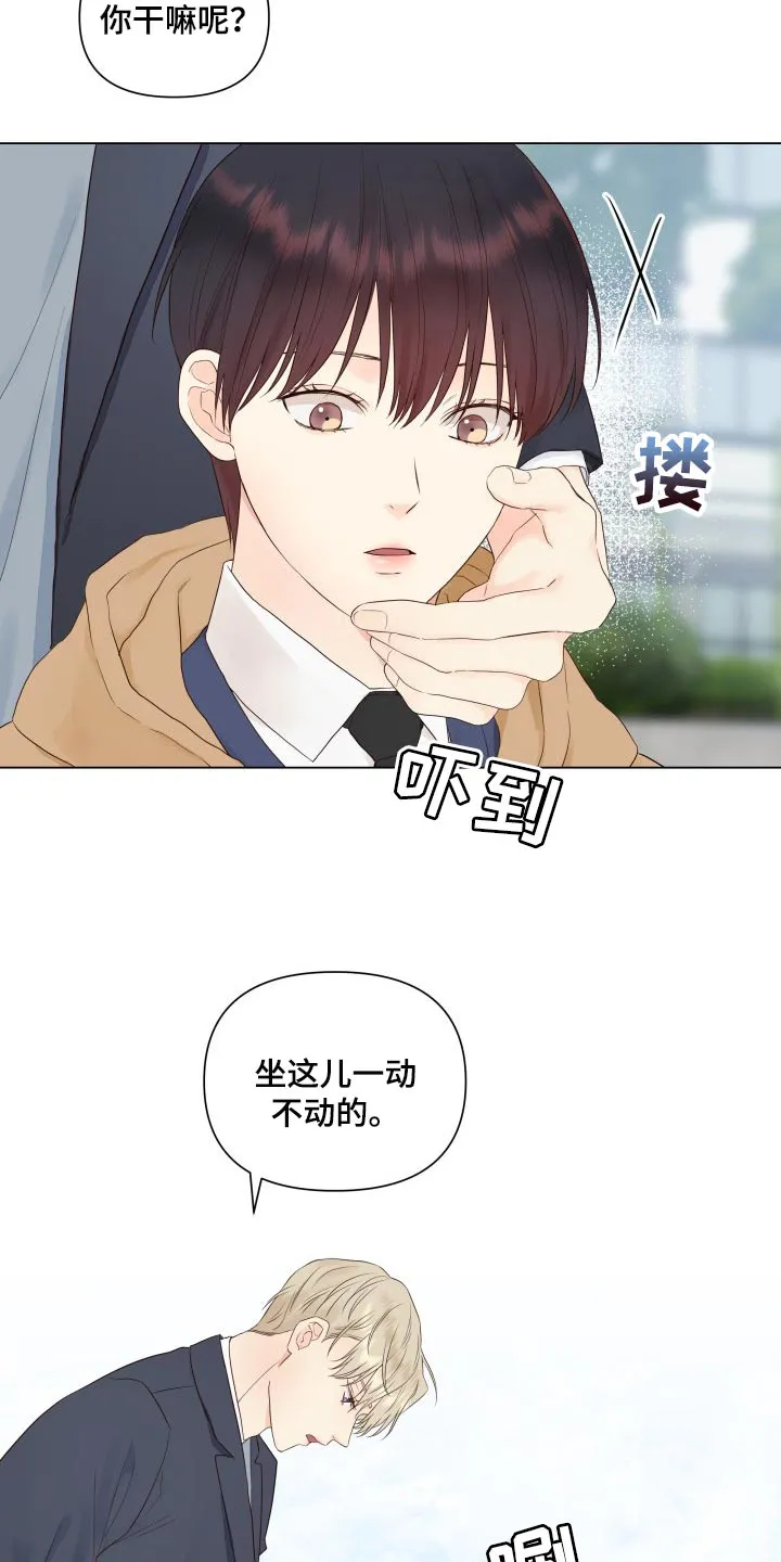 掌中玫瑰全文免费阅读无弹窗漫画,第25章：心烦意乱2图