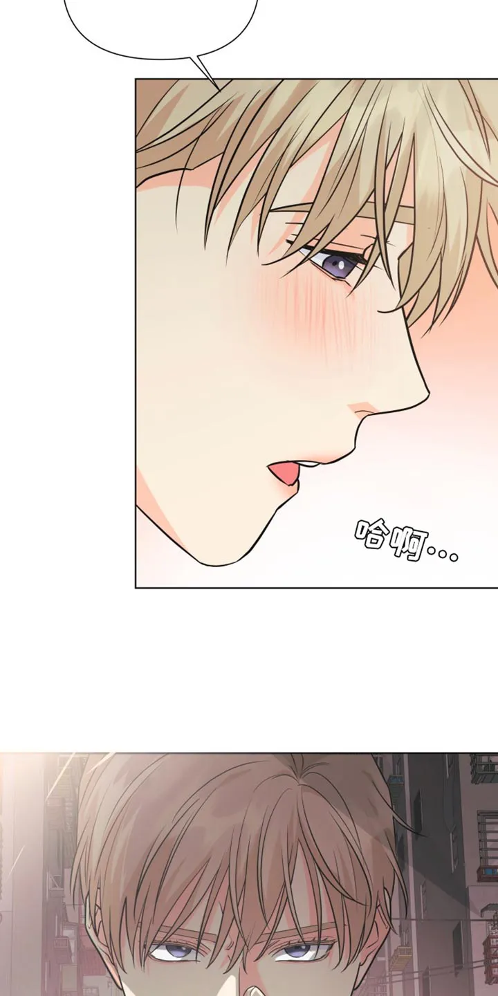 掌中玫瑰漫画漫画,第142章：【第二季】我们不会再分开（完结）3图