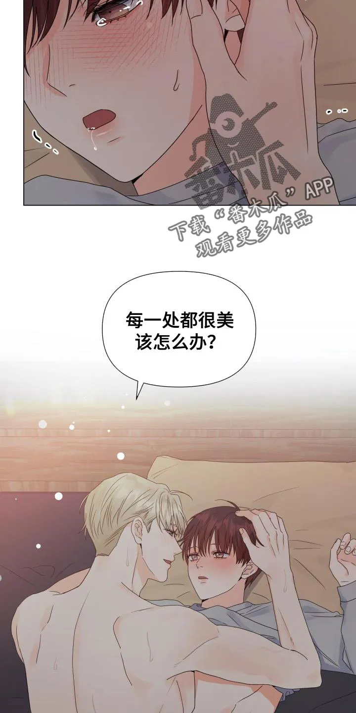 掌中玫瑰漫画漫画,第81章：【第二季】喜欢你的脸13图