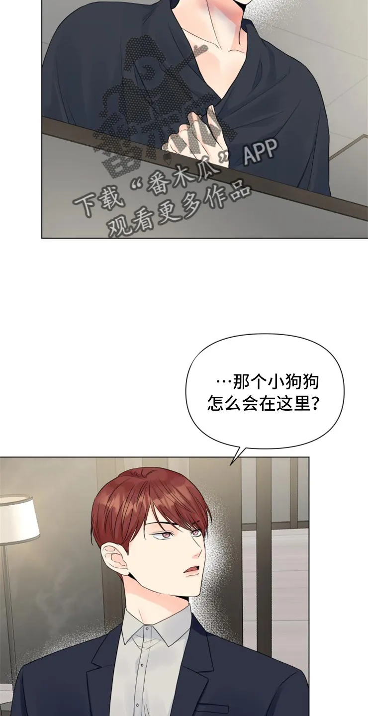掌中玫瑰漫画漫画,第51章：太碍眼了10图