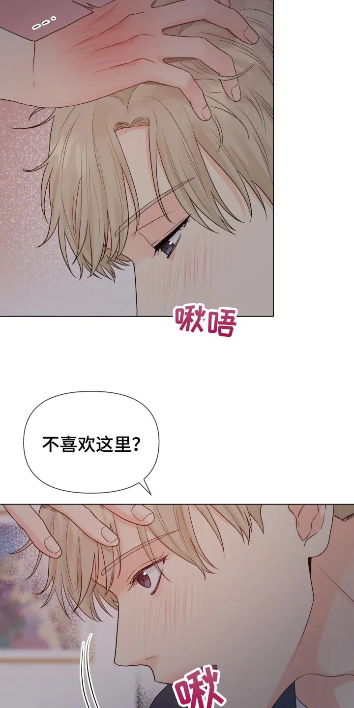 掌中玫瑰木甜全文免费阅读2漫画,第69章：好幸福4图