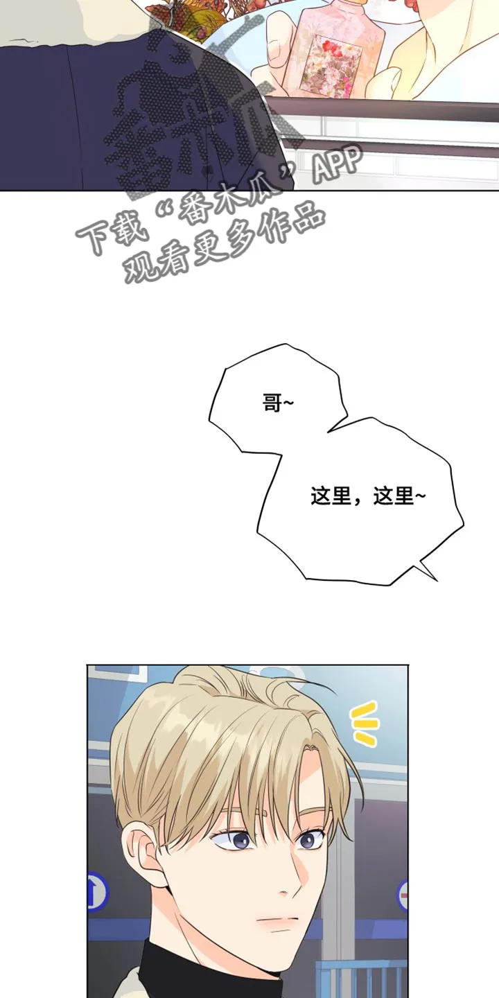 掌中玫瑰漫画漫画,第141章：【第二季】总算回来了19图
