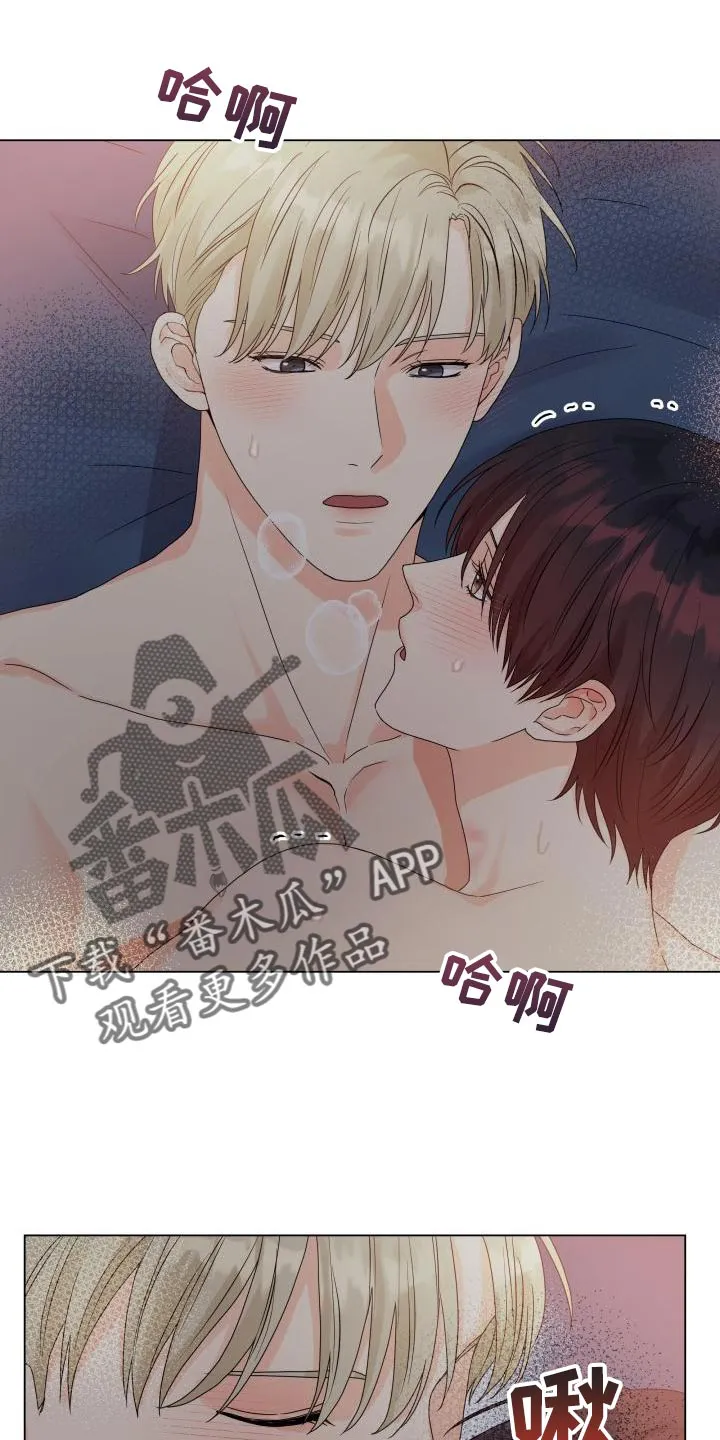 掌中玫瑰漫画漫画,第0章：17图