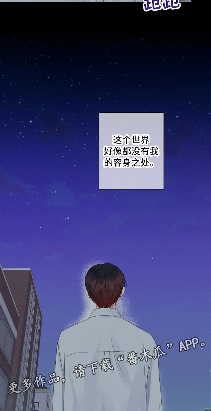 掌中玫瑰漫画漫画,第53章：没有我的容身之处28图