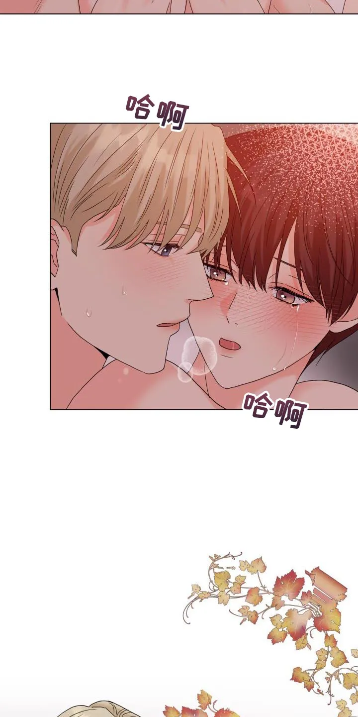 掌中玫瑰漫画完整版漫画,第95章：【第二季】你太让着我了12图