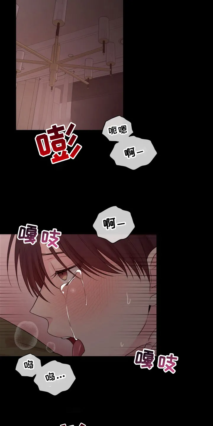 掌中玫瑰在线阅读漫画,第12章：重要的事12图