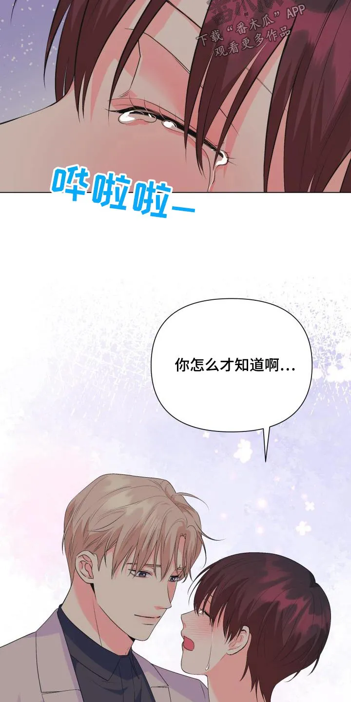 掌中玫瑰漫画漫画,第130章：【第二季】哪个国家4图