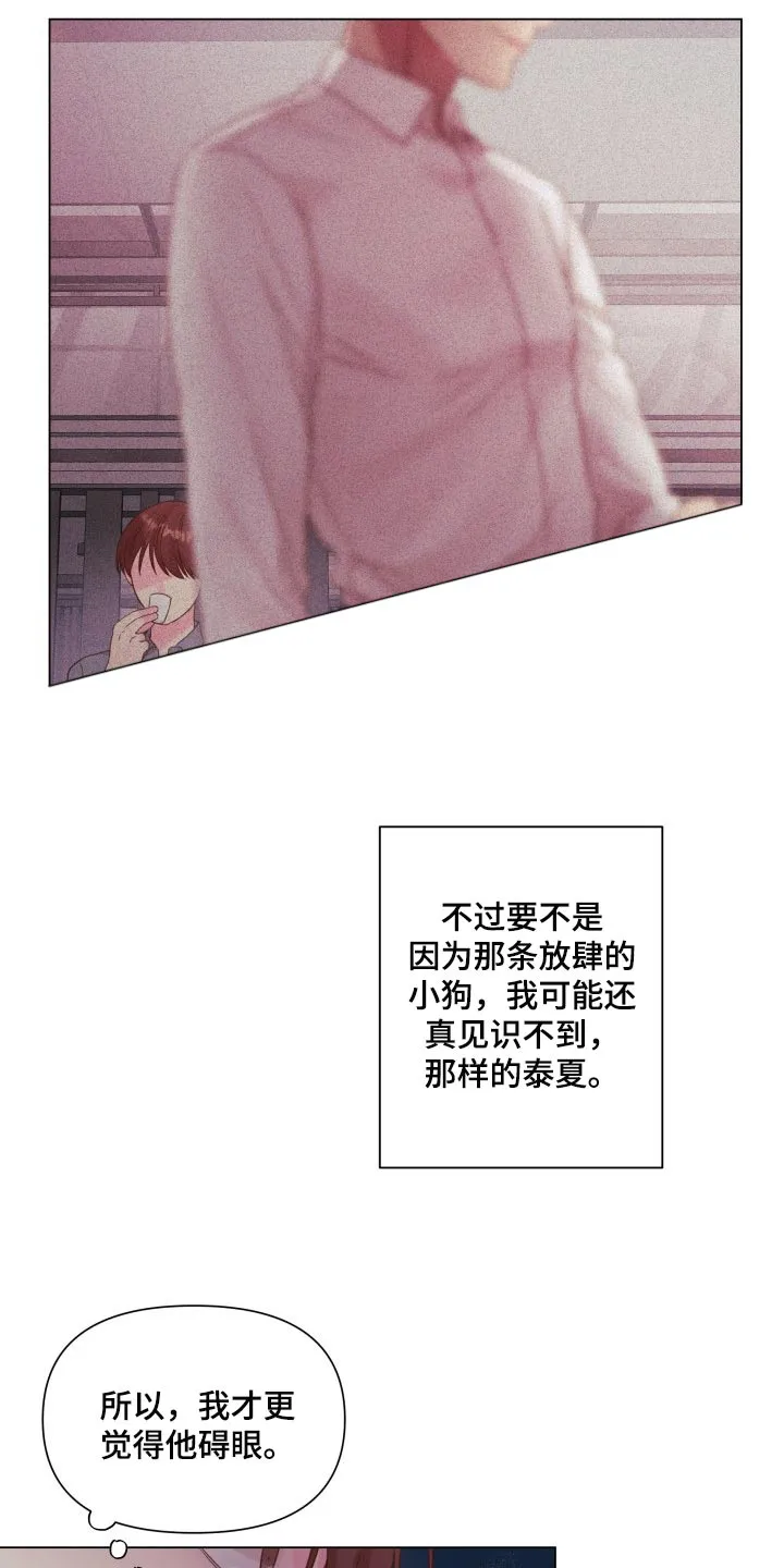 掌中玫瑰漫画漫画,第20章：碍眼21图