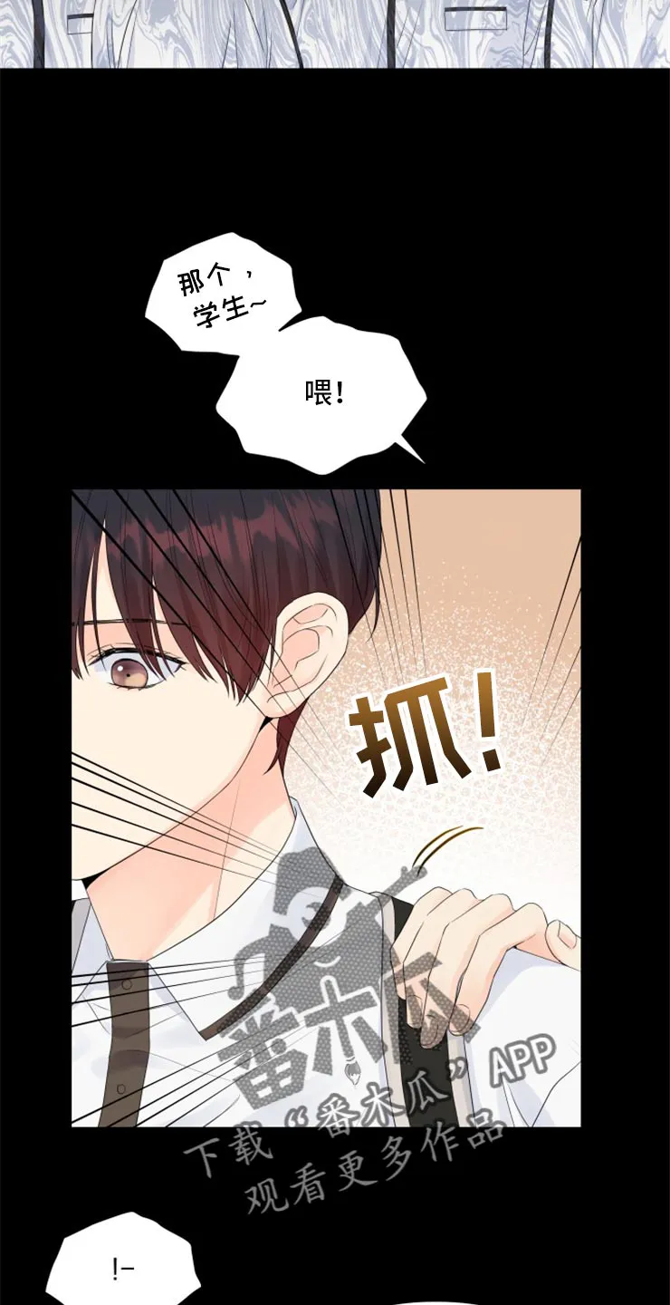 掌中玫瑰漫画漫画,第53章：没有我的容身之处5图