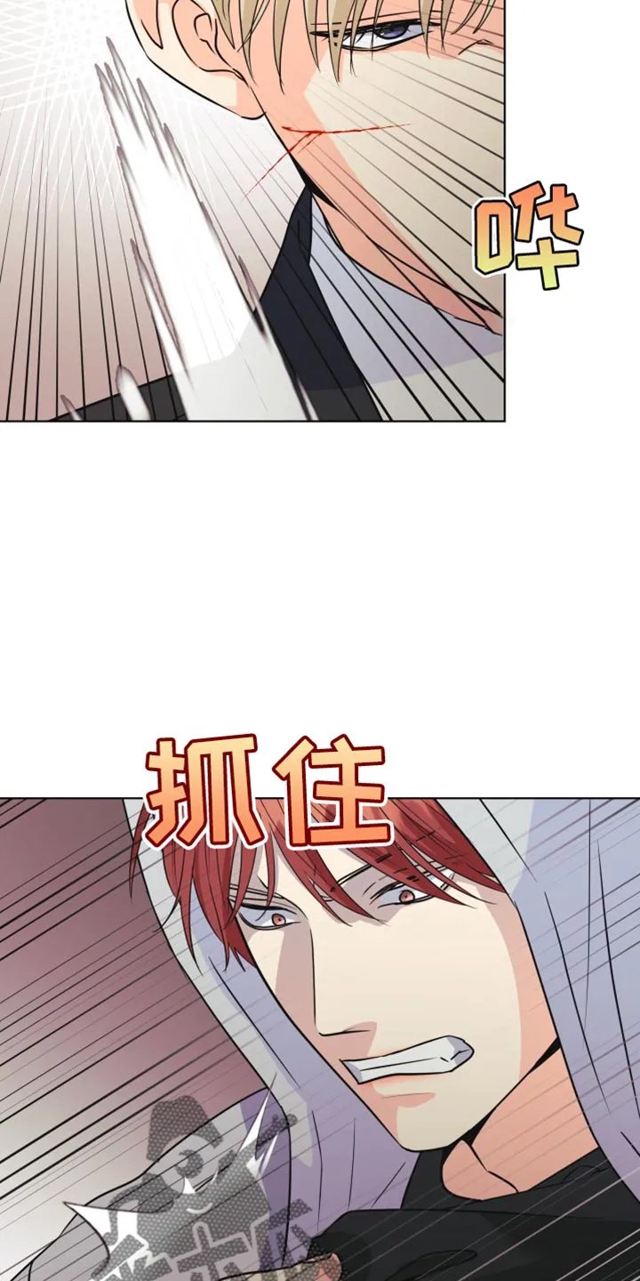 掌中玫瑰全文免费阅读全文漫画,第138章：【第二季】不要妨碍我19图