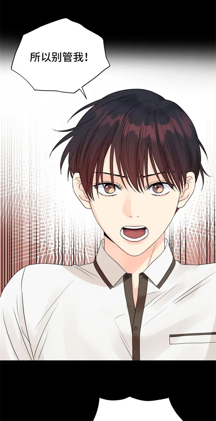 掌中玫瑰漫画漫画,第52章：别管我！24图
